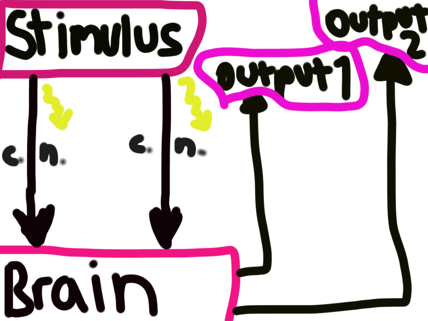 Physics and the question of Consciousness