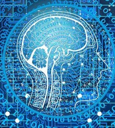 Representation Learning in Artificial Intelligence and Neuroscience