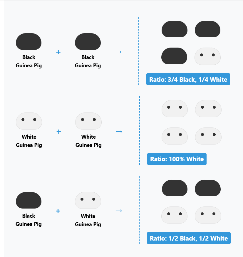 Weekly Problem: Guinea Pig Fur Color Genetics